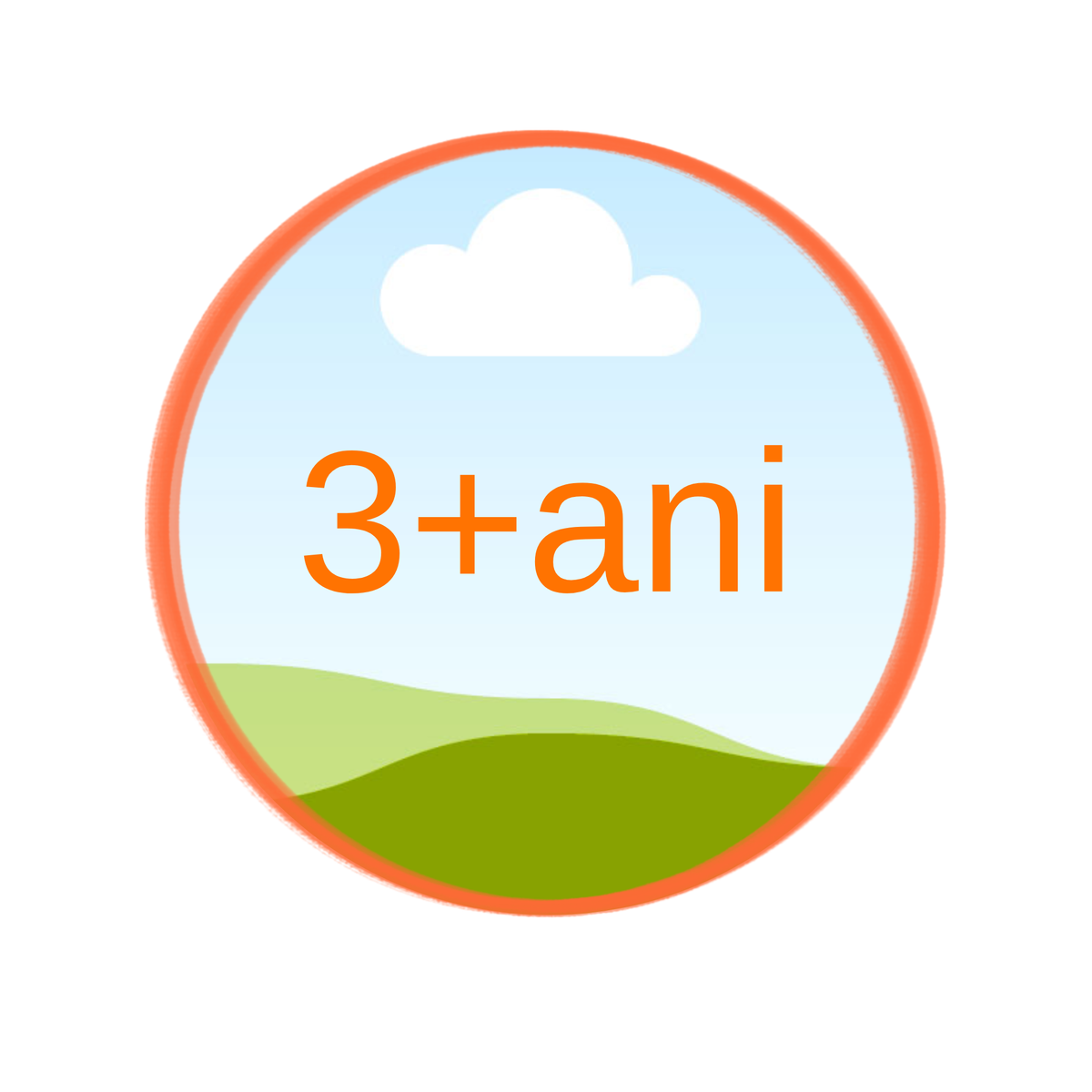3+ ani
